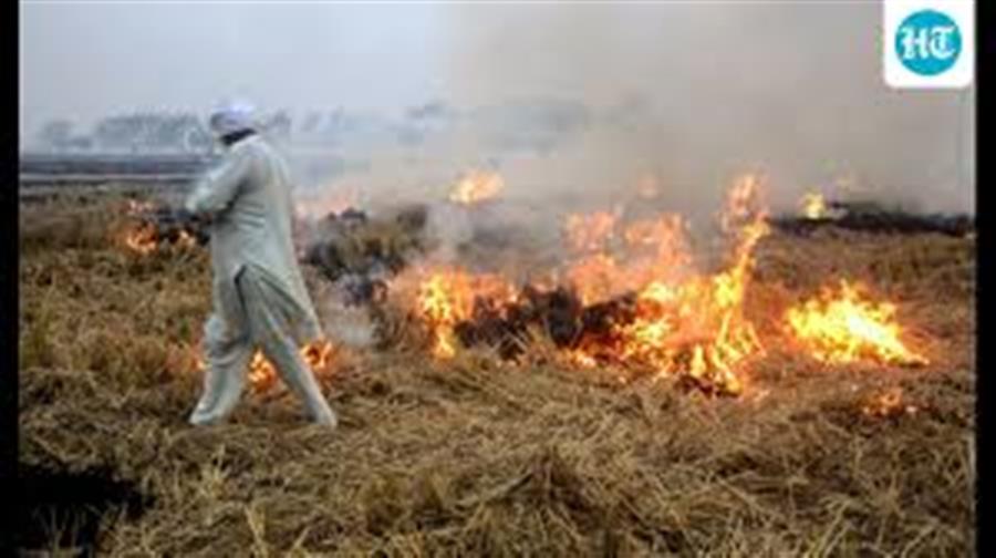 CAQM reviews preparedness of States for elimination of Stubble Burning in 2026; stresses Strengthened Enforcement, Crop Residue Management and Coordinated Action