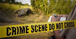 Shahtoosh Trader Convicted in Landmark Wildlife Crime Case spanning 17 years