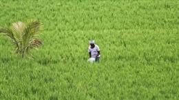 Progress of Area Coverage under Summer Crops as on 01.05.2026