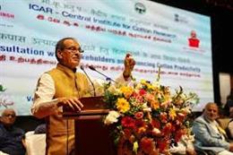 Government Approves Rs. 5,659.22 Crore Cotton Productivity Mission, Historic Step Towards Reviving Cotton Sector: Shri Shivraj Singh Chouhan