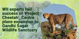 Project Cheetah: India’s Landmark Wildlife Restoration Initiative Shows Strong Progress and Promising Future