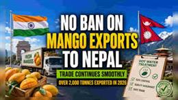 No Ban on Import of Indian Mangoes by Nepal