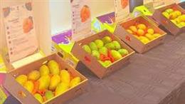 Indian Embassy in Iceland and APEDA Organise First-Ever Indian Mango Promotion Events in Iceland