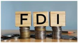 29 FDI Investments Worth ₹4,895.65 Crore Reported Under Revised Framework